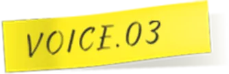 VOICE.03